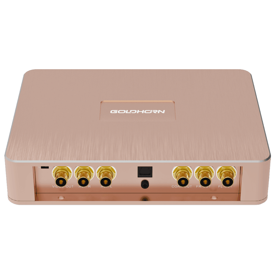 P1 DSD Player Only - View 2