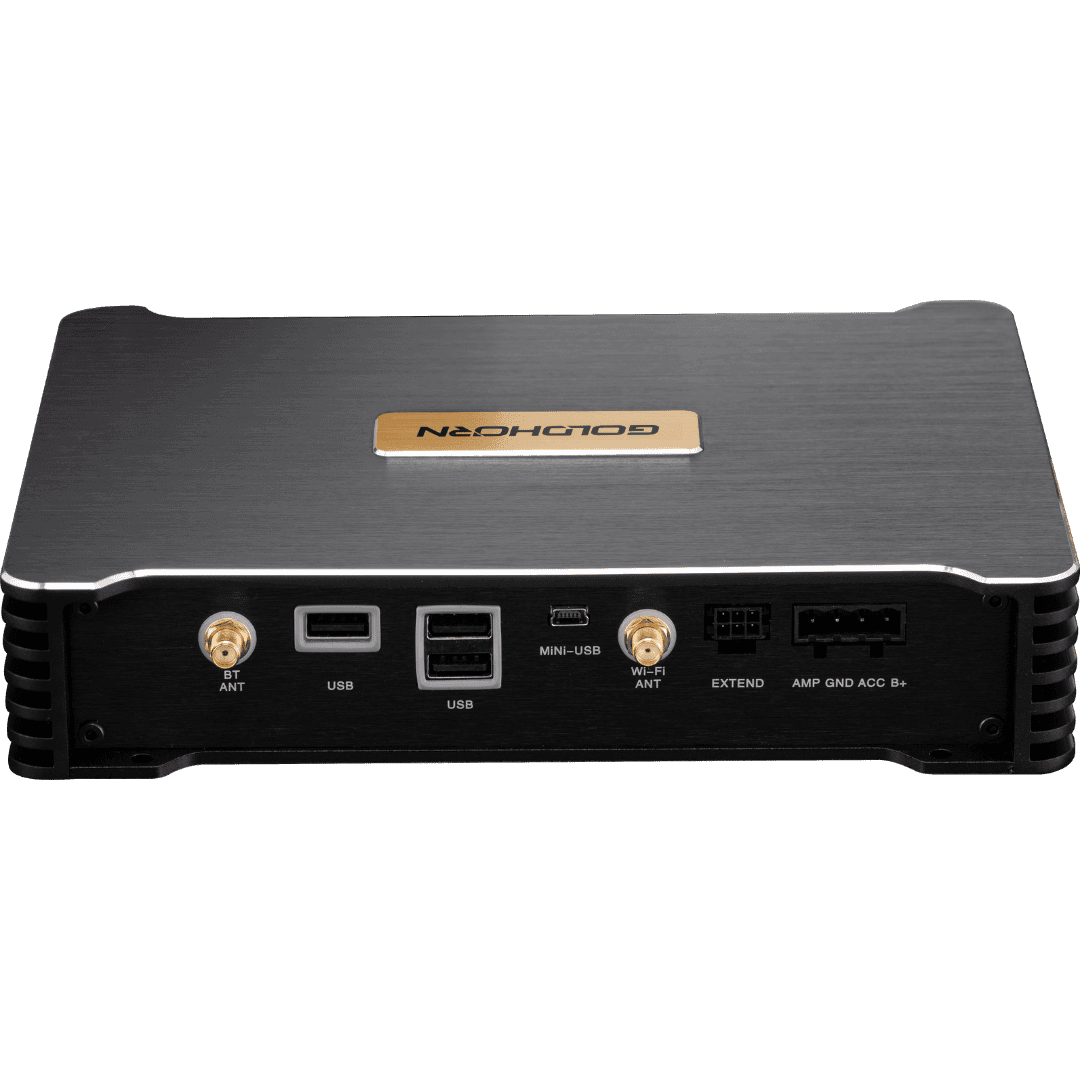 Goldhorn P3 Plus input ports including USB OTG and Bluetooth antenna